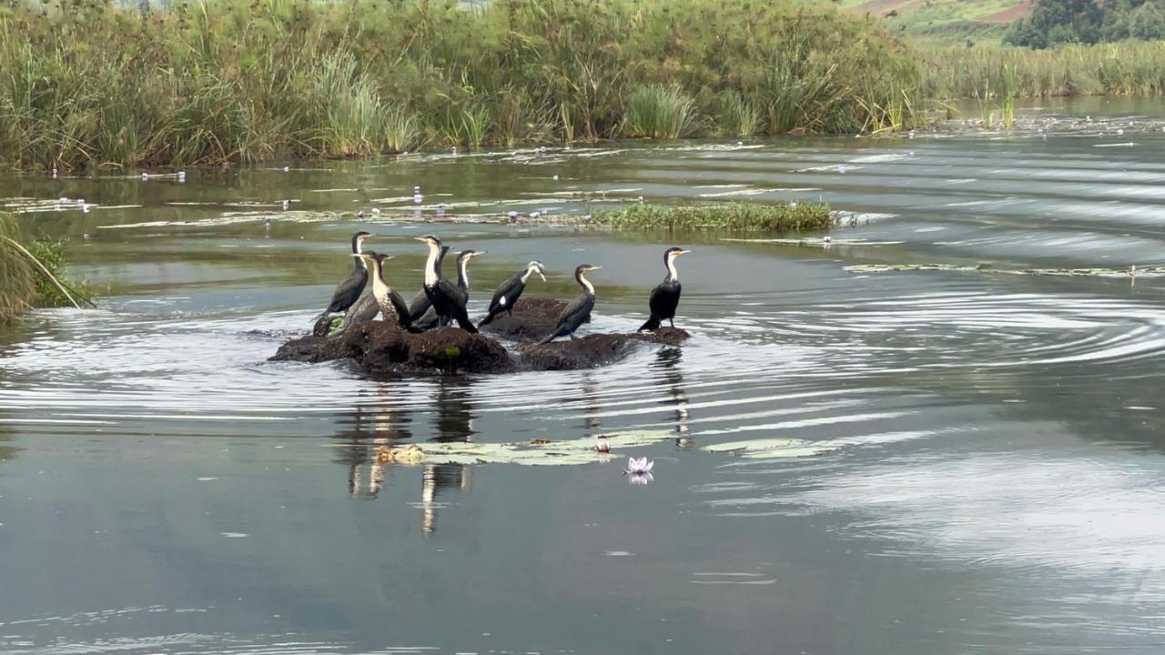 Lake Bunyonyi Rock Resort Kabale Екстериор снимка
